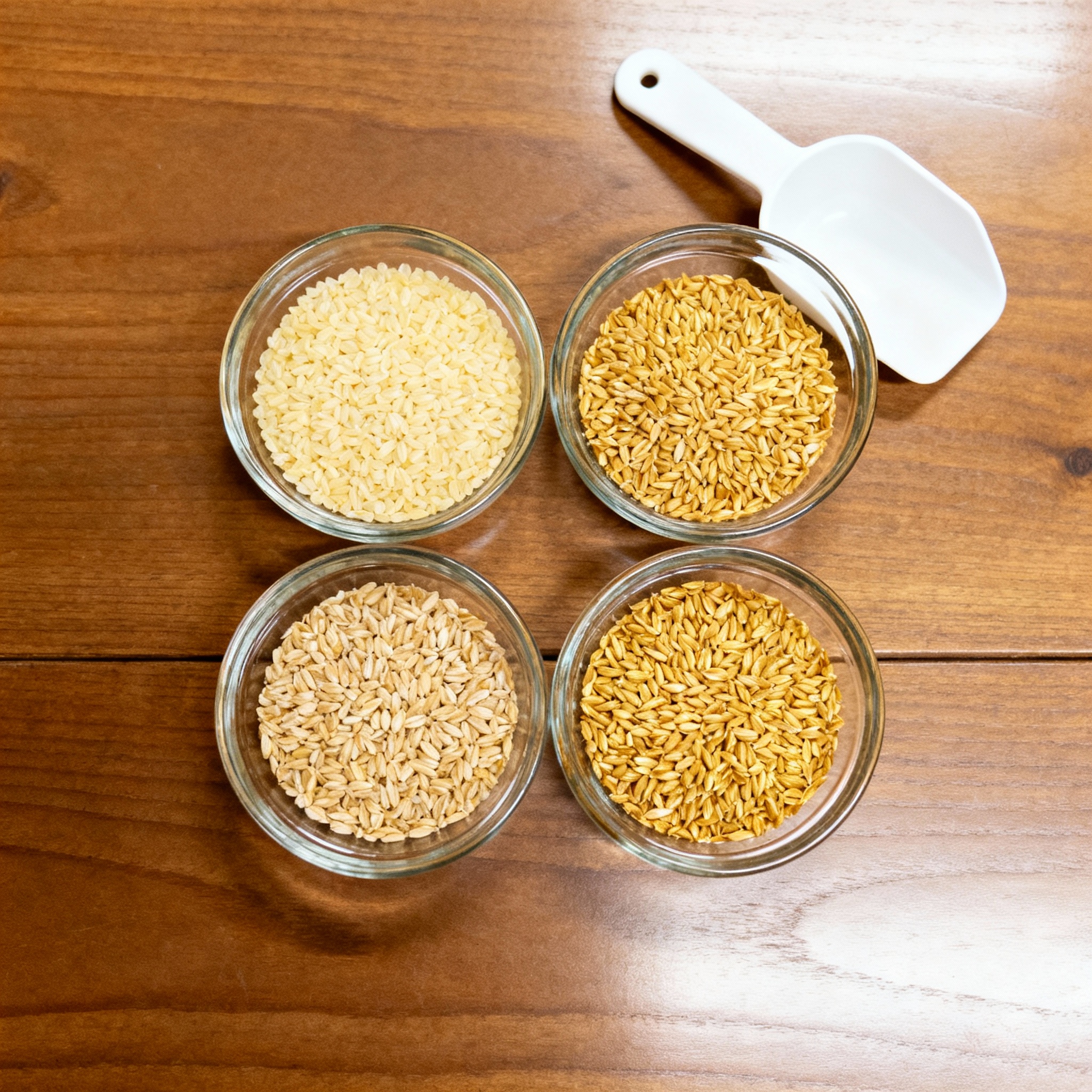 Choosing the Right Canvas: Pilsner, Pale, Munich, and Vienna.