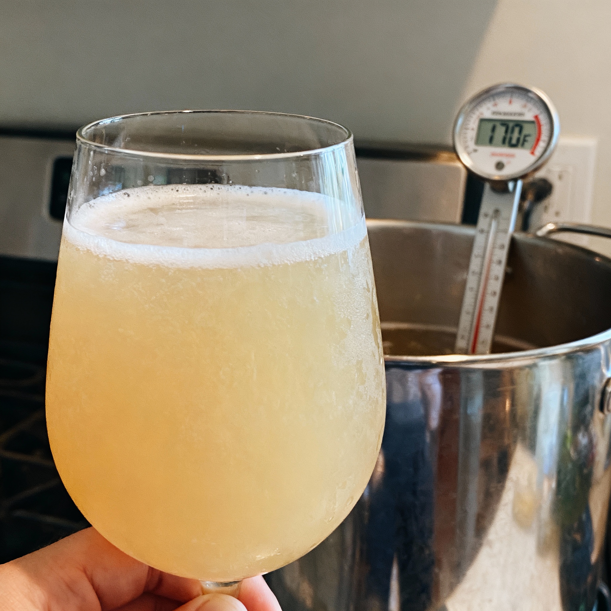 The Raw Ale Method: No-Boil Brewing